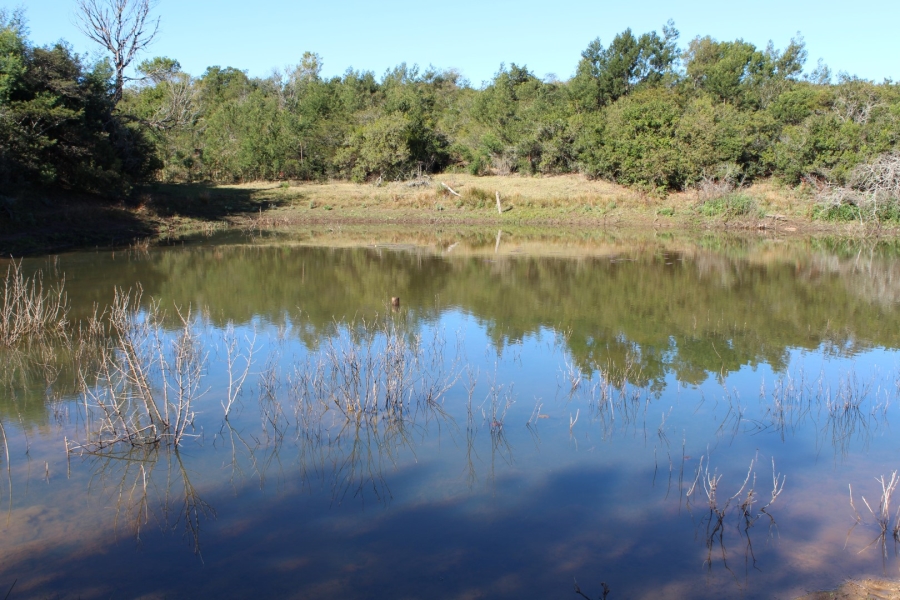 1 Bedroom Property for Sale in Bathurst Rural Eastern Cape
